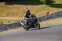 Lower Group Black Bikes